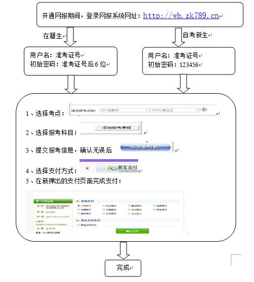 bv伟德国际体育官方网站