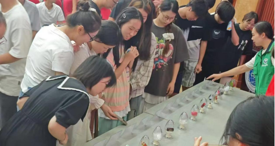 bv伟德国际体育官方网站