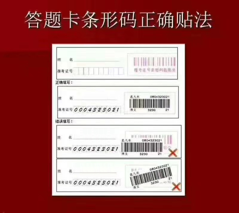 bv伟德国际体育官方网站