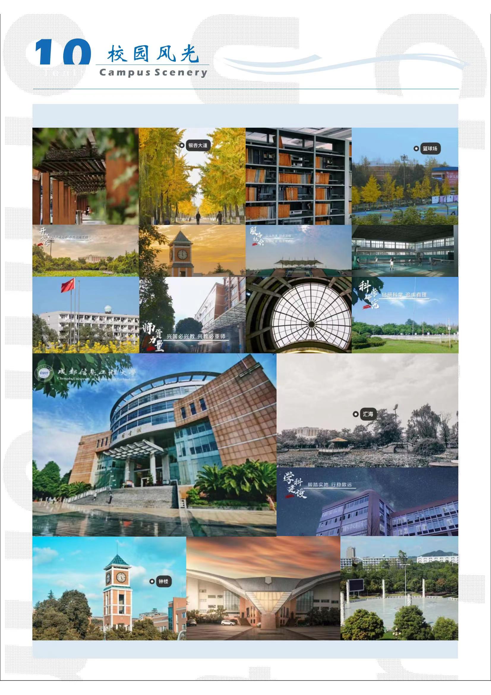 bv伟德国际体育官方网站