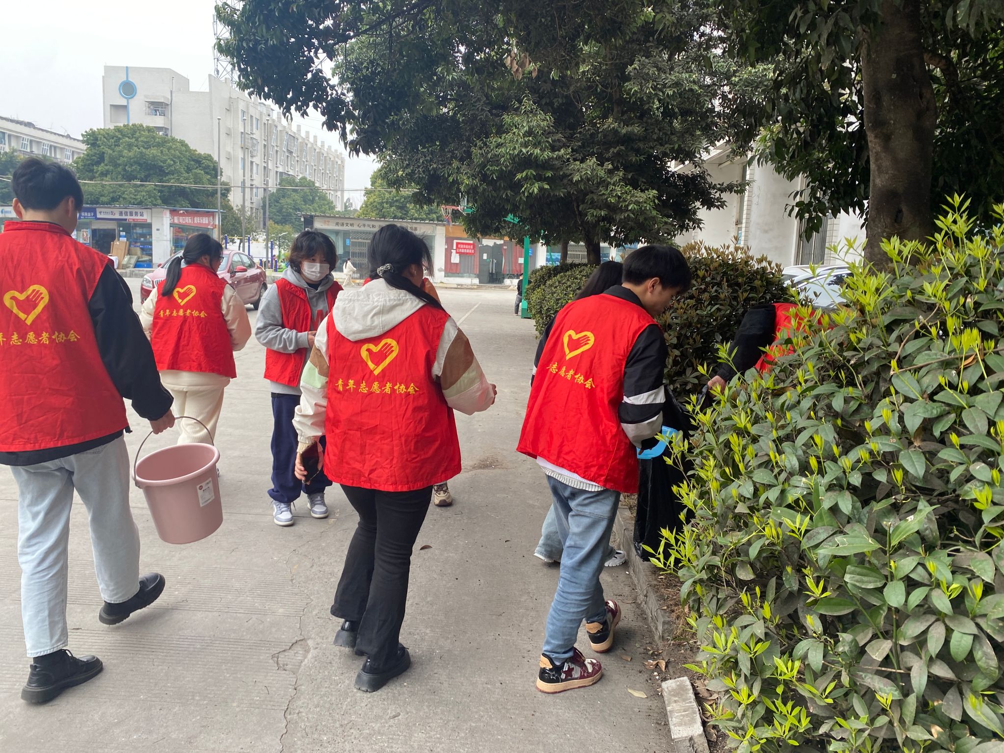 bv伟德国际体育官方网站