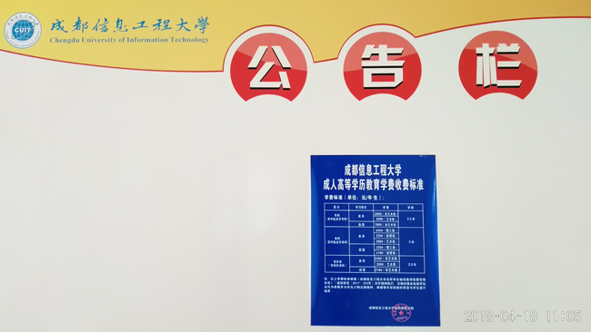 bv伟德国际体育官方网站