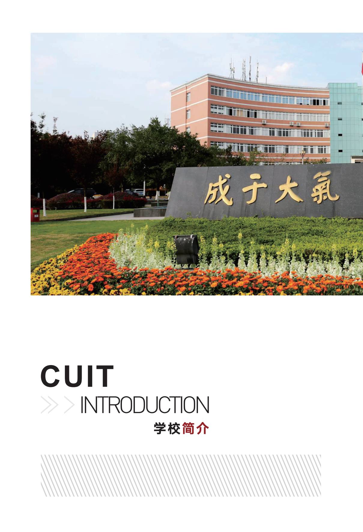 bv伟德国际体育官方网站