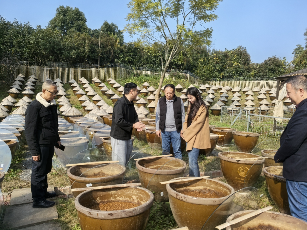 bv伟德国际体育官方网站