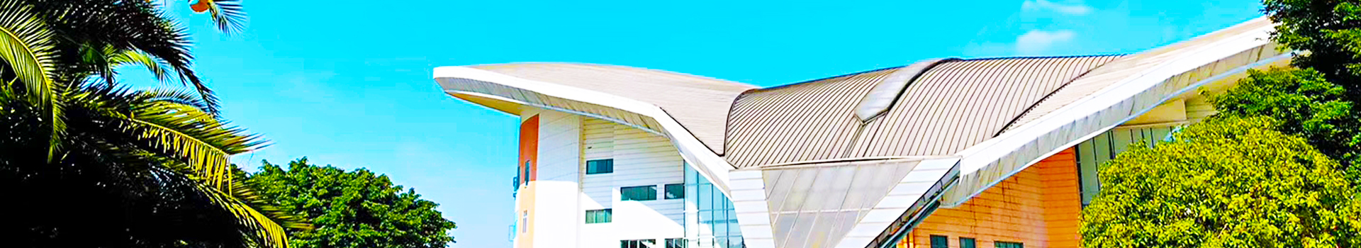 bv伟德国际体育官方网站